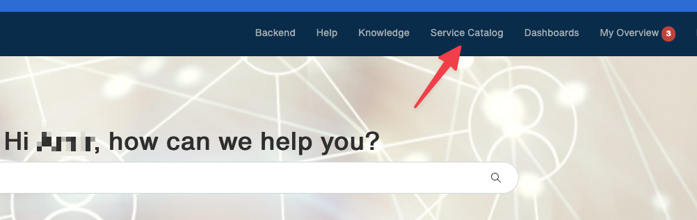 Service-Portal-Navigation mit Pfeil auf «Service Catalog»